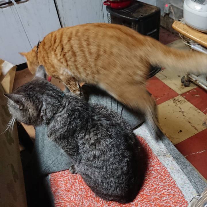 E5eaf3fd ad6b 4b4c b72b 5e8af4508dac 1574595003021