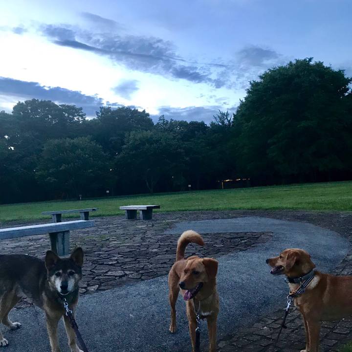 E5eb0899 bc4c 486f a2f2 feae036fd875 1530268464267