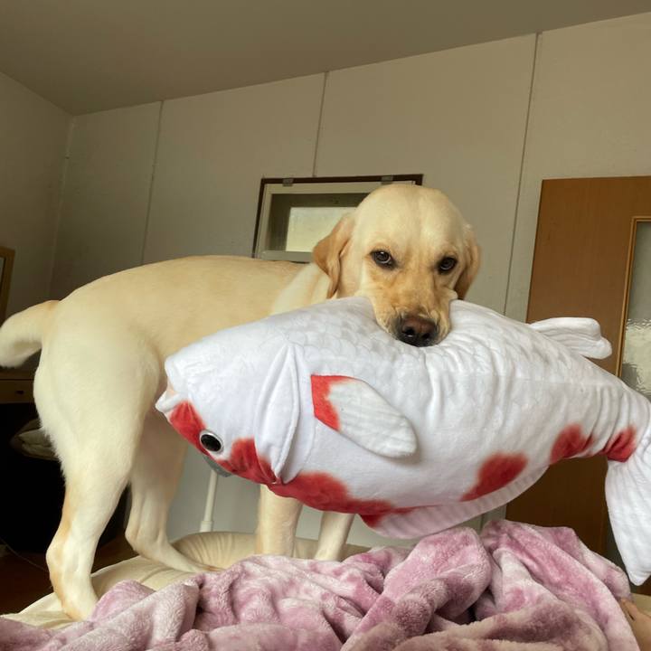 E5eb2c5c 787c 41c7 8504 6c6631ef2e86 1687588474487