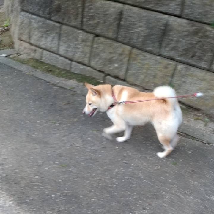 E5eb45b4 ff26 41bf 91bc 09989621ff51 1603231349169