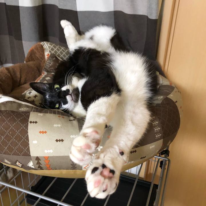 E5eb4d35 f787 46e9 9d57 82a9f1e1e7ce 1618260067328