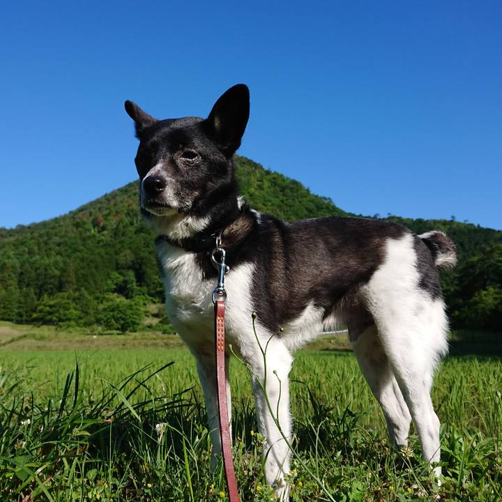 E5eb573a ed66 4c25 9e2f c7651a8870b6 1591573696336