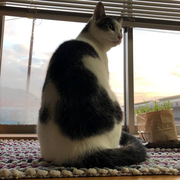 E5eb9233 a570 4302 9137 d758ead51fc9 1672526008154