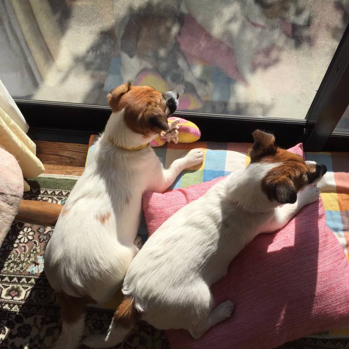 E5ebcc05 3c4c 45a4 ad27 c480ee2eabc9 1515817229279