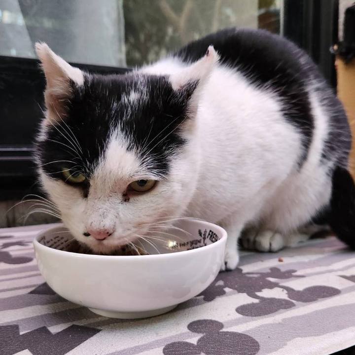 E5ec0c27 863d 4362 a557 e702366511e1 1768983488580