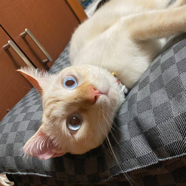 E5ec4aab 3890 4e5a b1da fac64f659dda 1630835823337