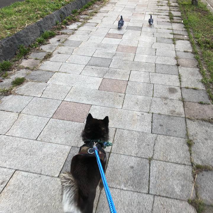 E5ec55a6 b530 4a31 a6ac 984e503adf7c 1524104481395