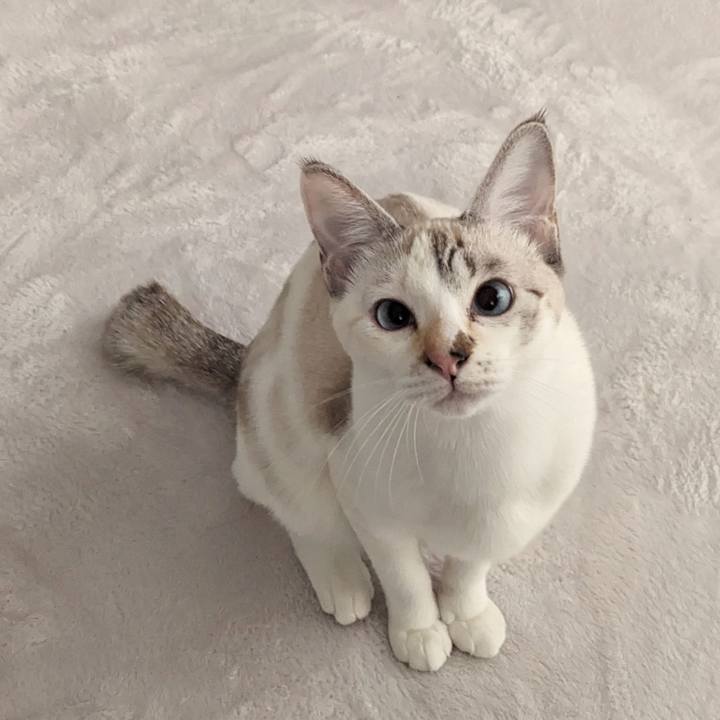 E5ec720a 1c39 4da4 8ed9 0b05c3e8b42f 1700974272864