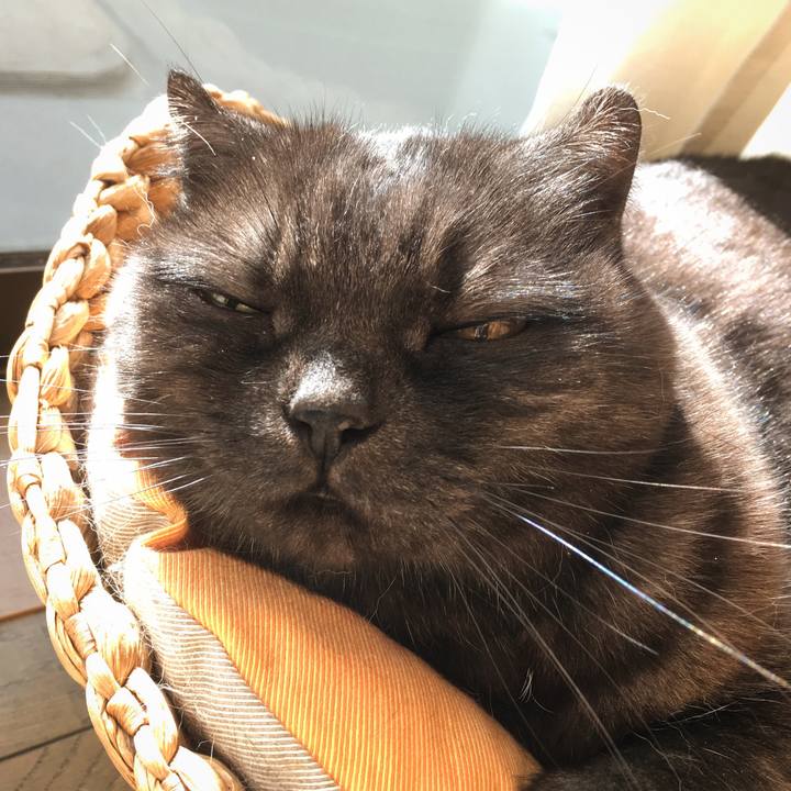 E5ece0f6 61aa 4d26 b287 aceadb92b637 1556794225700