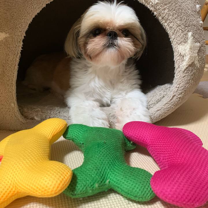 E5ed1d20 3d23 493d b583 5caa8de34a7a 1598530426328