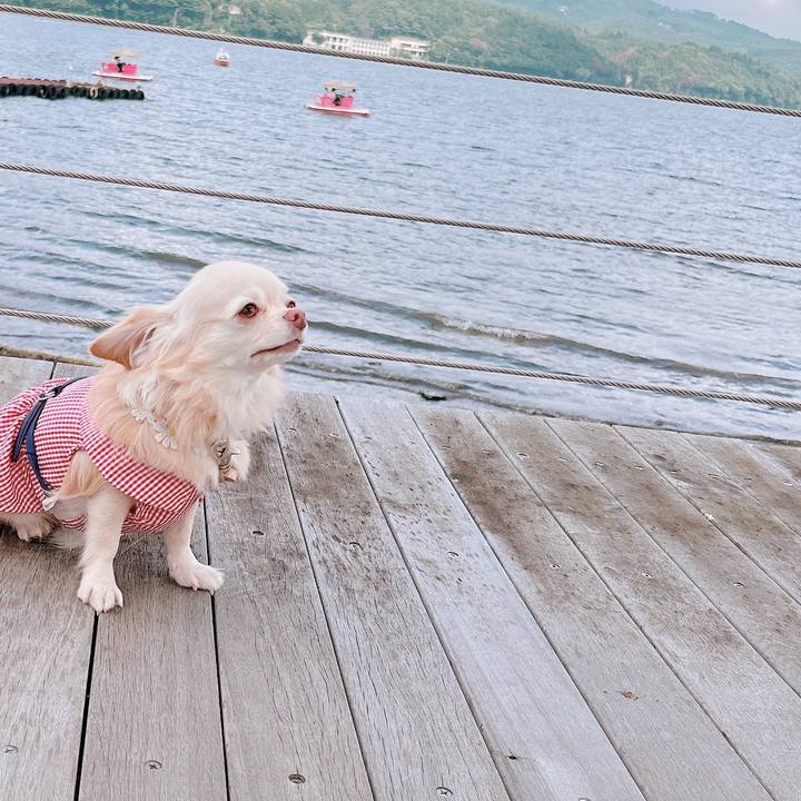 E5ed2ac1 2cd2 417f b01e b9584b89b2b6 1662274799801