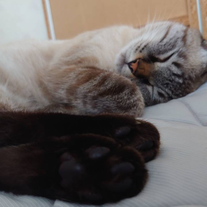 E5ed4d12 d1d3 4aed bd4c a02451c28c41 1662503407797