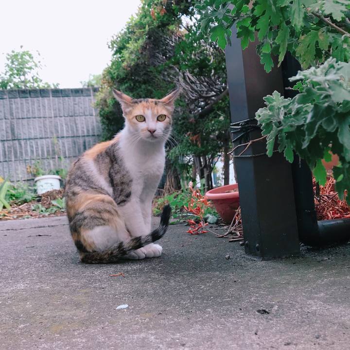 E5ed8041 fc5a 43ce bb23 85edb7905164 1534145753513