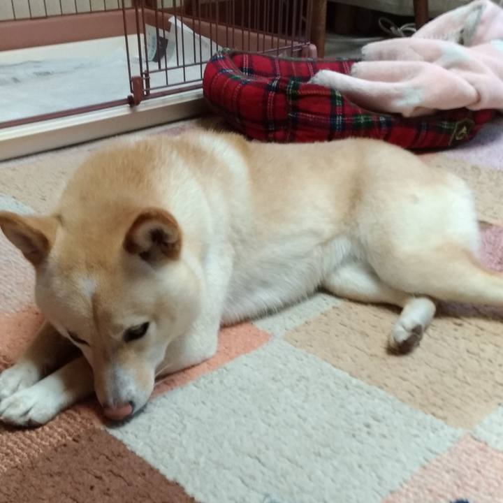 E5ed82ae 33d2 466a a638 f1724397bd50 1554795524606