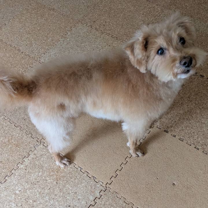 E5ed8548 643f 4fc0 870a b27e1a02c73b 1744512255765