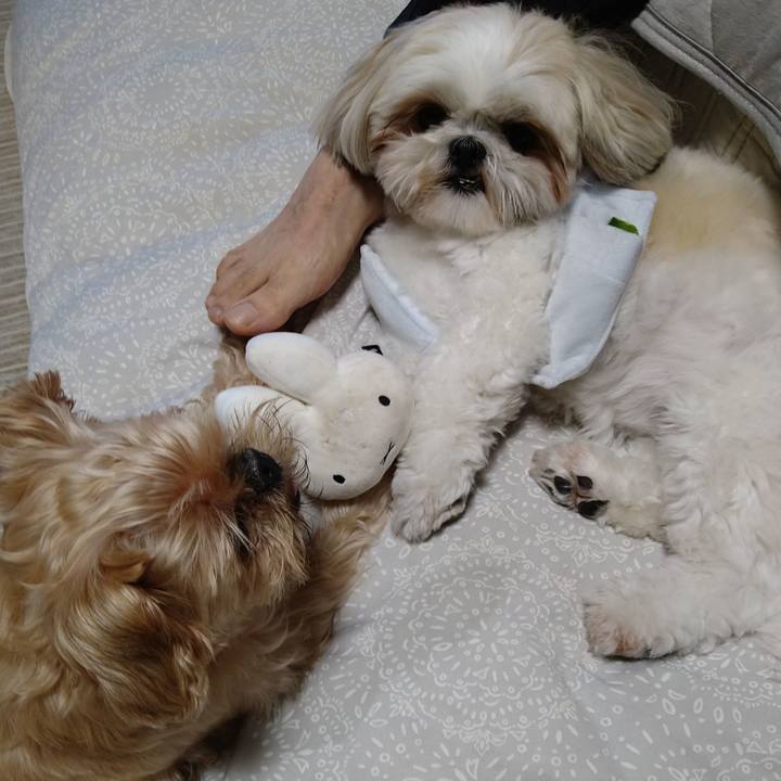 E5edca87 28ee 46d3 a190 7e8abe5c1e56 1628208342860