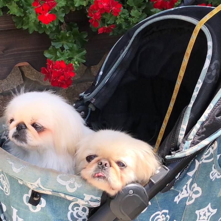 E5edd051 d08d 4e29 9992 e9cf788e375a 1534821818360