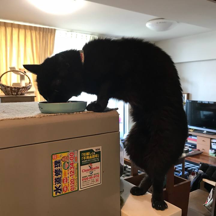 E5edf4e8 654f 4ef2 b14d 4f6bbcf03dc9 1530671701496