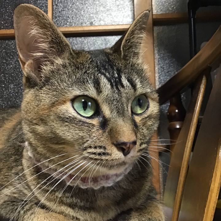 E5ee025d 99b7 4bec b6fa c806e640dc30 1657190380094