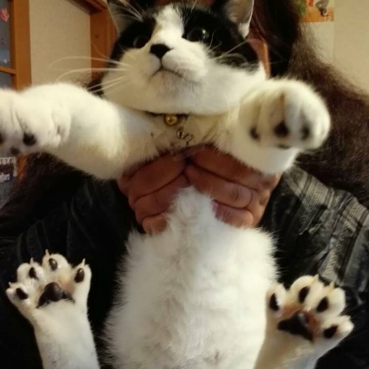 E5ee025f a53f 4e03 9e54 a0a718e05f43 1513817857619