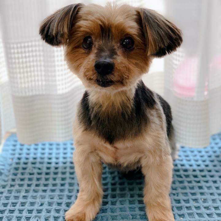 E5ee1a96 0356 4a61 90f4 8596ef588242 1618977761577