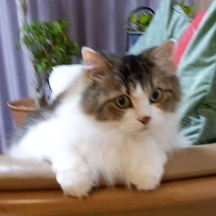 E5ee3d9c 8c82 4d0a 9496 700ee5bd3eb5 1668419510138