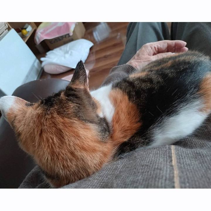 E5ee62c0 2104 4f45 8857 523ec89a1835 1765593243287