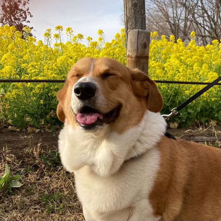 E5ee6e27 262a 4360 a17d 877dc4a05321 1678622657923