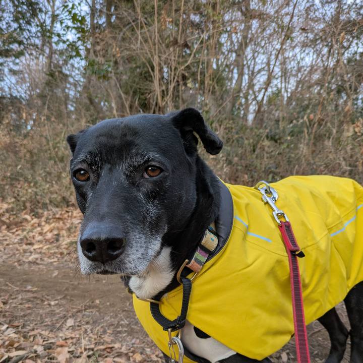 E5ee8f93 3a10 4d39 a5eb 879f059501b7 1737242934709