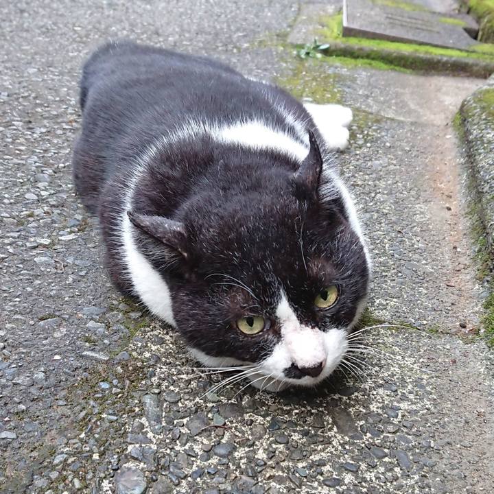 E5eebeb3 9a2e 4c15 b2fb 6531d4c83f04 1628496386630