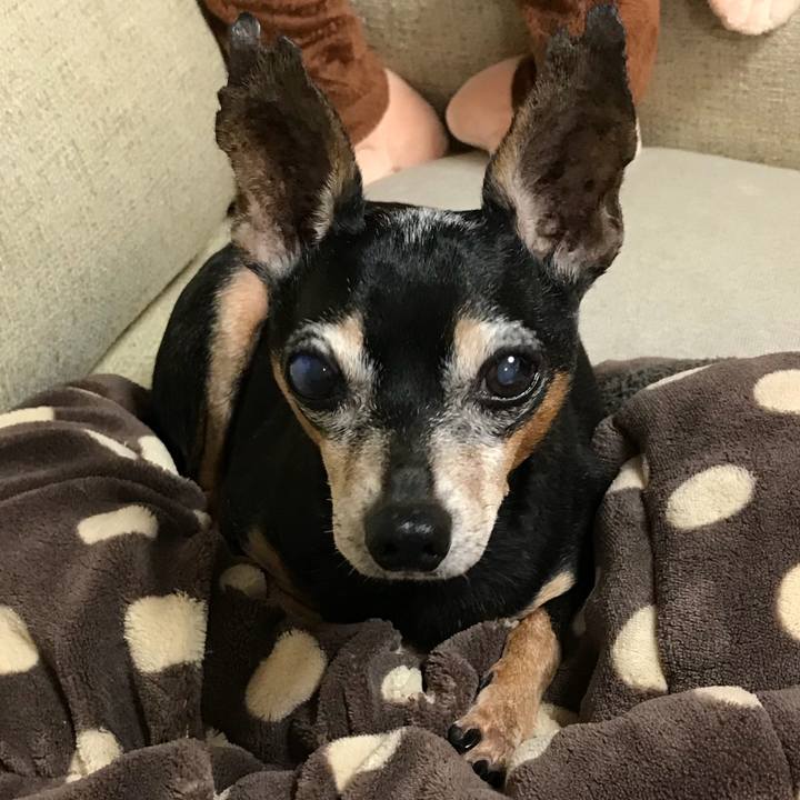 E5ef121c a579 4905 8769 9cf376e39b6d 1534929943687