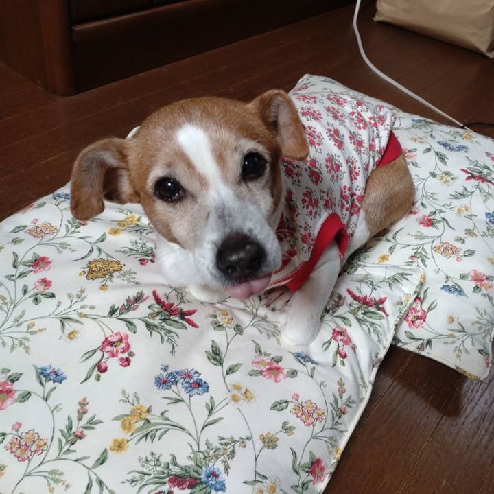 E5ef204a 1562 46d6 a313 640f39f02638 1769909604030