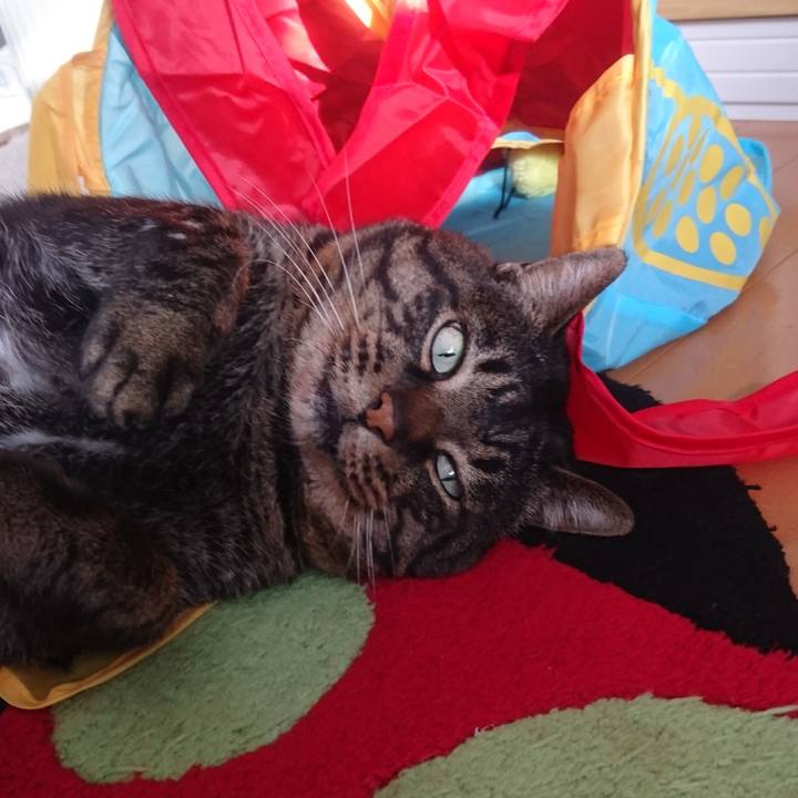 E5ef2f5c 9f8e 4a72 bb73 b9db0f45072f 1516424214153