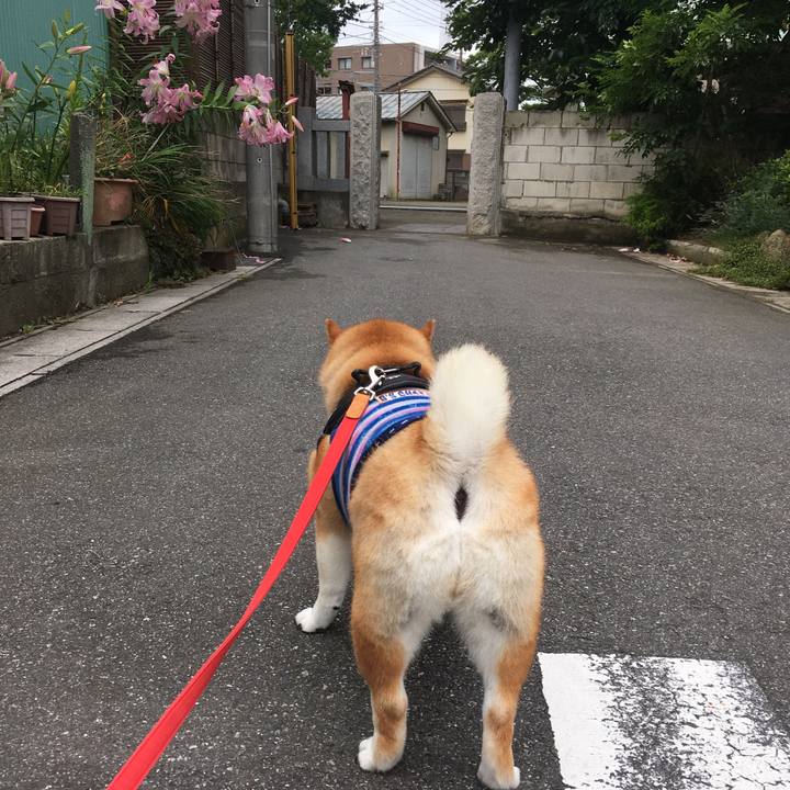 E5ef4cab 21a3 4f8b 9bc9 5cd72a7991bb 1593590417193