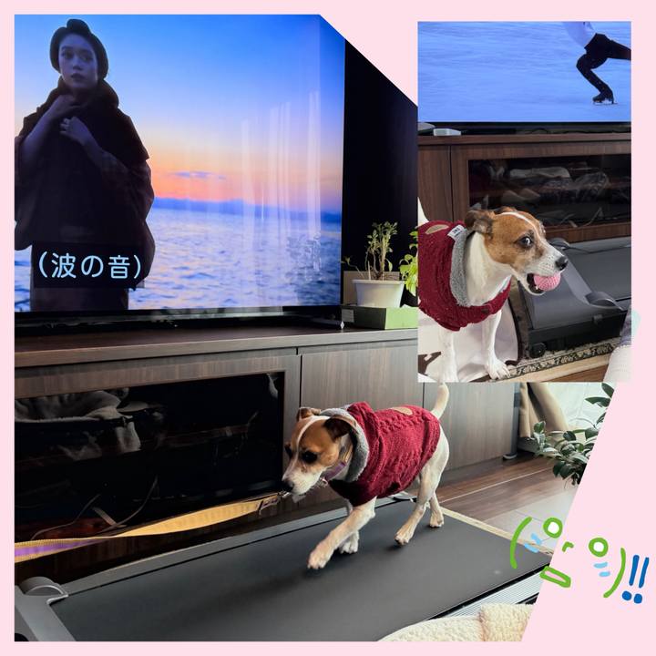 E5ef708d 2c1f 4853 80aa 70ff754771f9 1770783445845