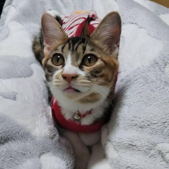 E5ef9605 2dc3 4a00 adfb 8a3cc505bc50 1635159155959