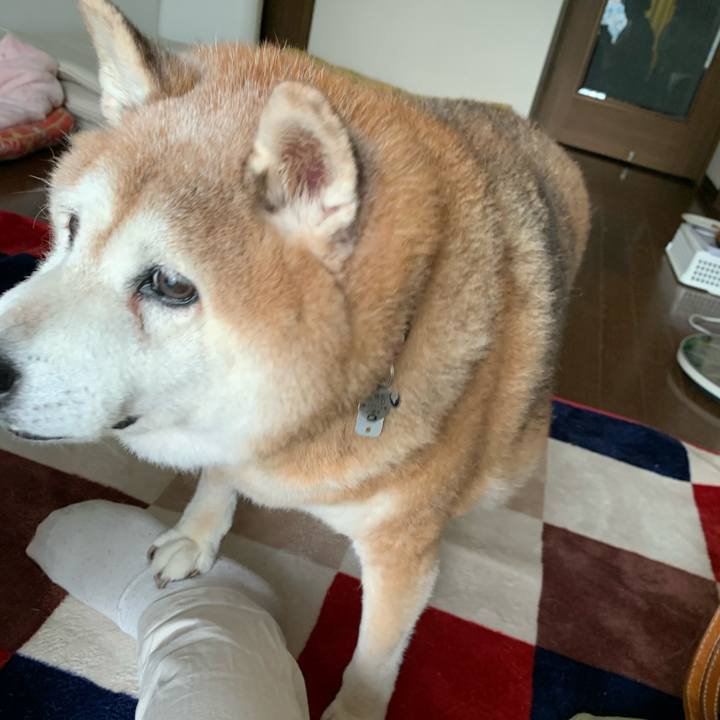 E5efb5b2 b876 47c5 8334 8989d2bb1069 1629447425971