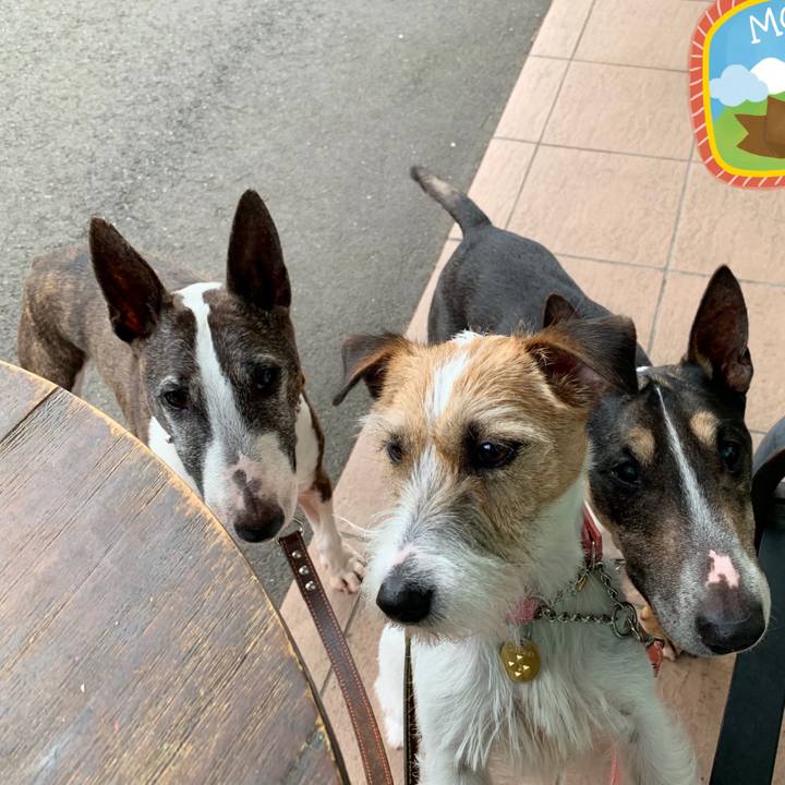 E5efee04 5ec9 4988 ae8c 386d555e2a14 1589101758193