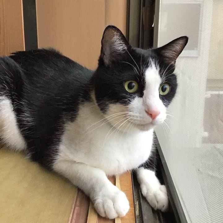 E5eff77a 42c8 41cc a3da 1ff1ec8e6230 1754906652786