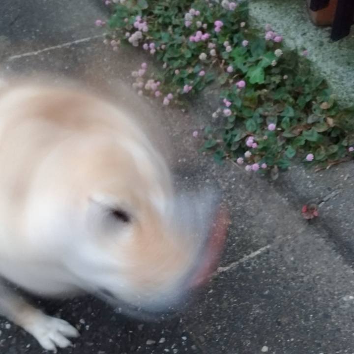 E5eff990 1d1d 464a a488 8f9c9b017d6f 1606864815169