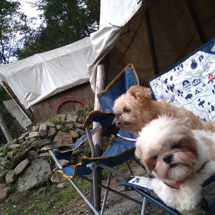 E5f04054 1a42 4db3 a022 e569fb4c82a7 1600512425224