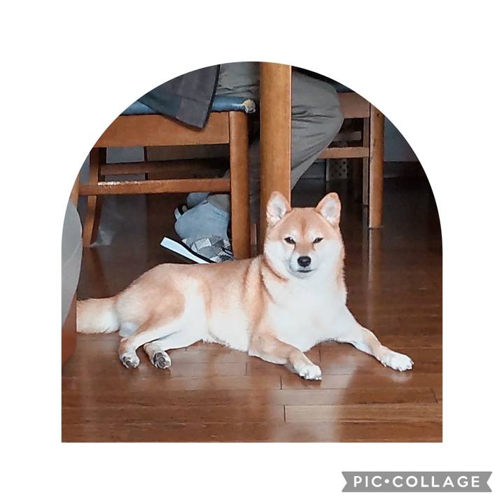 E5f04ada 71d5 4ed0 9229 a9981f560bb7 1700695693619