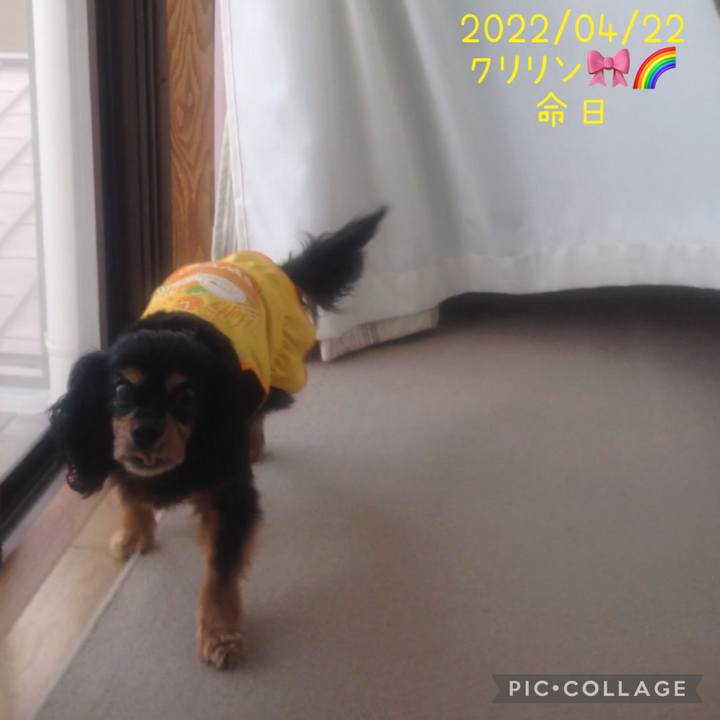 E5f05c67 9301 4072 b9ef babb25286223 1650585810724