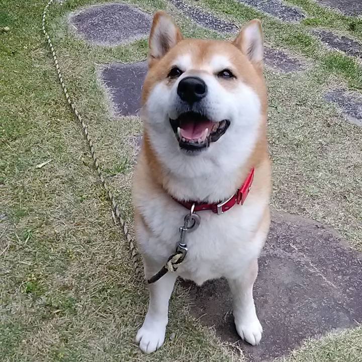 E5f08ab1 e694 4909 ae08 6bed70f9b2bd 1649674616285