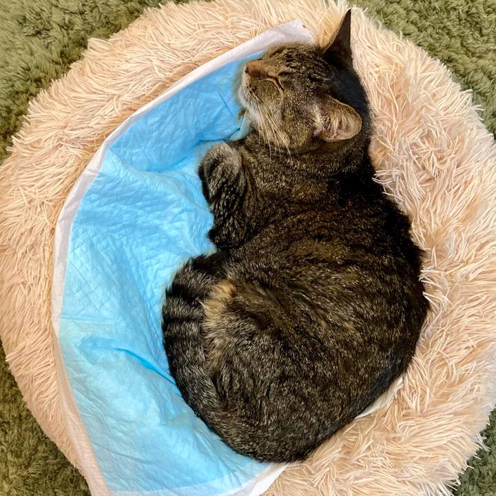 E5f0bdb0 e6e2 4412 a7df 7429e700a05c 1686917804351