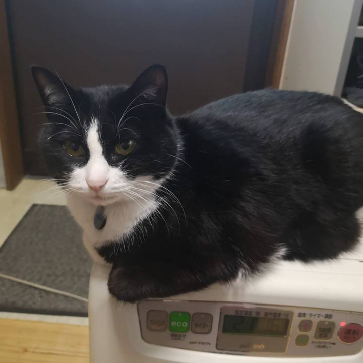 E5f0c095 2533 47c5 aeef 905ffed26266 1641092709717