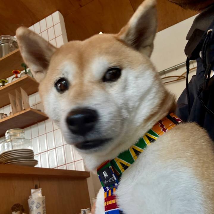 E5f10133 4a66 4e32 898d 56ead6fc874c 1765361892365