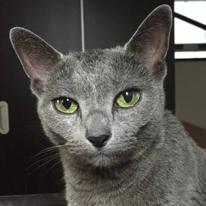 E5f10139 2833 45b5 934b 3695688734ed 1532992222365