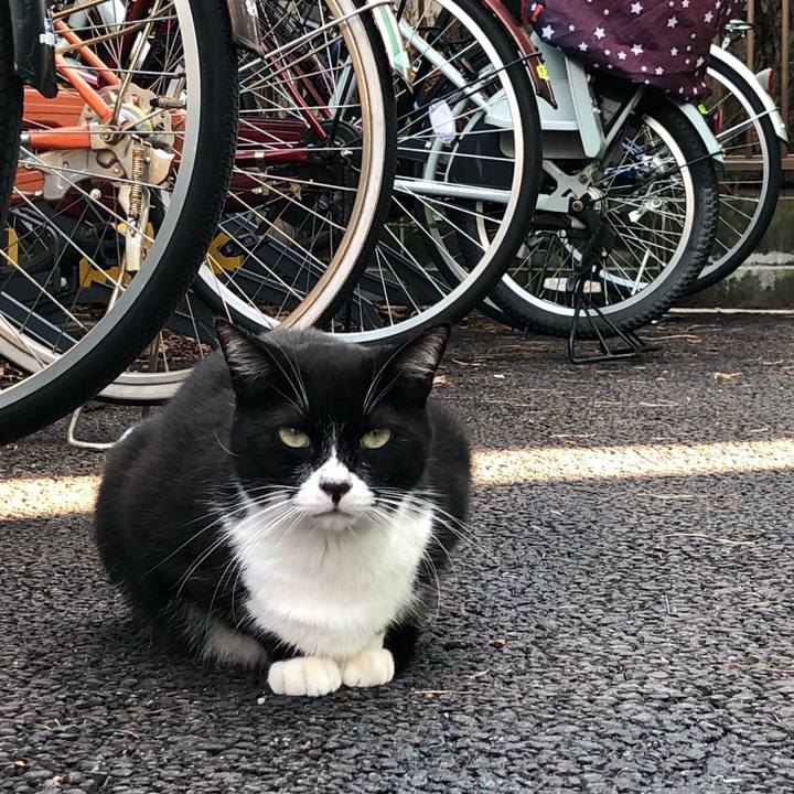 E5f11025 eac6 48b3 aa39 5f29b29cb98f 1541967893266