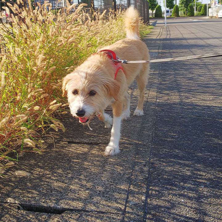 E5f11f98 0280 4c99 a29a 55815e797cef 1565215487275